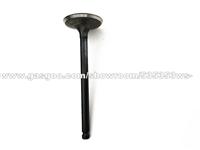 Engine Valve 22211-24504