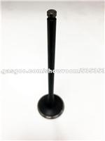 Engine Valve 22212-3C100