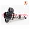 Plunger,Elemento PS7100 2 418 455 122 For MERCEDES-BENZ PE12P120A320LS7805,BENZ 8P/120R - img2