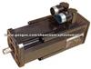 Mavilor Servo Motor