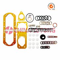 Repair Kits 2 417 010 001(P3000) For POCHETTES DE JOINTS GASKET KITS VE Pump PE...6P...-S3000