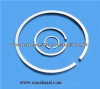 Borgwarner Piston Ring