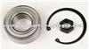 Wheel Bearing Kits For Citroen/Peugeot/Fiat 1328029080,71753818,373032