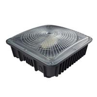 120 Degree 50W 75W Led Canopy LightfLspmR