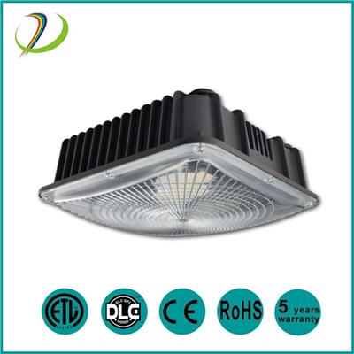 Cheap Price LED Canopy LightDJLKGA