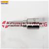 Engine Fuel Injector Nozzle- Fuel Injection Nozzle DLLA142P87
