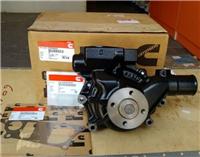 Cummins B3.3 QSB3.3 engine water pump kit 3800883
