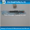 original common rail Injector EJBR03701D
