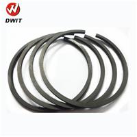 Auto Diesel Engine Piston Ring Set Type piston ring for engine H07C