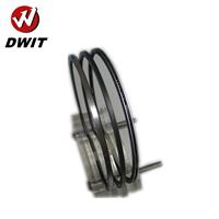 Engine Parts Piston Ring Set Piston Ring F20C Truck Engine Parts