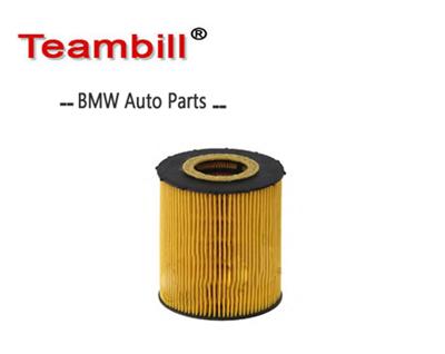 Auto parts oil filter for B.M.W E60 E61 E63 E64 E70 11427542021 / 1142 7542 021