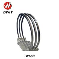 2017 diesel engine parts piston ring for 2W1709