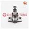 Elemento Diesel Fuel Plunger EP9 Element PW2 Factory Sale High Quality - img2