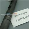 Delphi Diesel Inyector EJBR05301D,Common Rail Fuel Injection EJBR0 5301D Suit For Valve 9308-621C