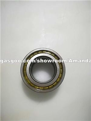 Cylindrical Roller Bearing SL045008PP