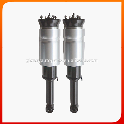 Glossy Air Suspension Shock Absorber For Land-Rover RNB501180 RNB501220 RNB501250 RNB501480 RNB501610 RNB501580 RPD501480