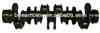 auto engine parts for ISUZU 6HE1 8-94395-025-0 8943950250 forged crankshaft