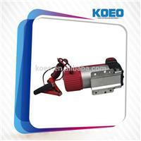 Best Selling and High Quality Micro Fuel Pump
