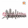 Common Rail Nozzle DLLA145P926 High Quality Factory Sale