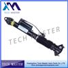 Car Parts Auto Suspension Supplier For W166 1663200130 Airmatic Shock