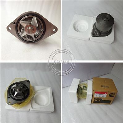 Cummins 6C 6CT 6C8.3 240hp Water Pump Set 3415366