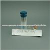 Diesel Injector Control Nozzle DLLA146P1581 Suit For Common Rail Injector '0 445 120 067