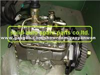 VE Diesel Injection Pump NJ-VE4/12F1900LNJ01 For Isuzu