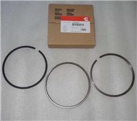 3802429 3802258 Cummins 6CT L8.9 engine parts piston ring set