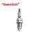 Auto parts spark plug for AUDI TT A3 / PORSCHE CAYENNE / VW GOLF 4 PHAETON TOUAREG TRANSPORTER 101905606A / 101 905 606 A