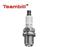 Auto parts spark plug for Audi A8 4D8 A6 C5 A4 B6 Saloon / VW Touareg phaeton / B.M.W E46 10190 616 / 101 905 616