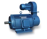 Torque Motor for Film Blowing MachineaaMprD