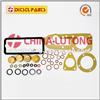 Injector Rebuild Kit- Common Rail Injector Rebuild Kit 1 417 010 002