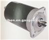 DC MOTOR ZD006-J006-XX