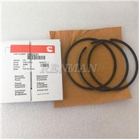 Cummins Piston Ring 4B 6B Piston Ring Set 3802056 3802230 3802050 3802421