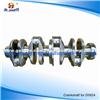 Man D0824 Crankshaft