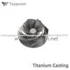 TPS titanium casting parts