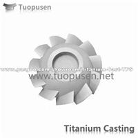 TPS titanium casting parts valve