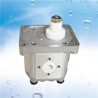 Bottom Price Fashion Industrial Truck Fiat A42XP4MSS Parts Gear Hydraulic Pump