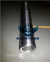 Pin rear suspension Peugeot 306