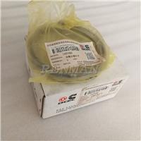 Cummins ISZ ISZ13 QSZ QSZ13 Piston Ring Set Kit 4352545 4959949 4974953 4974985