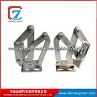 Customized Door Hinge