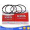 Diesel engine piston and CYPR piston ring kit