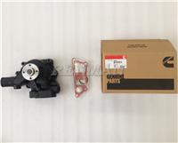 3800883 Cummins engine B3.3 QSB3.3 Water Pump Kit