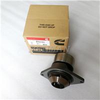 3286275 3286278 3802971 3802944 Cummins engine 4BT 6BT Water Pump