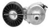 Tensioner Pulley 89202 49261 VKM999025 10129559 12552358