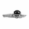 Factory Price AMC Engine Water Pump 19200P8AA02 Used For ACCORD Engine Repairing