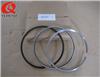 High Quality 6CT8.3 Diesel Engine Piston Ring 3802429 Motorcycle Piston Ring Set