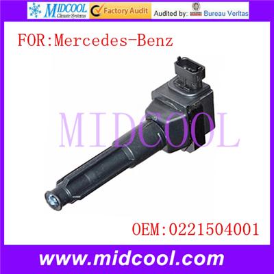 Auto Ignition Coil 0221504001