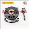 Stanadyne Head Rotors China- Ve Pump Rotor Head 146403-0520 - img2