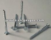 Slotted Countersunk Head Screws